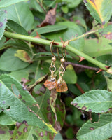 Citrine Charm Earrings